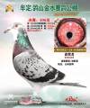 图片暂时未上传