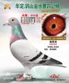 图片暂时未上传