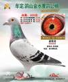 图片暂时未上传