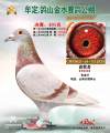 图片暂时未上传