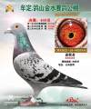 图片暂时未上传
