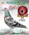 图片暂时未上传