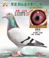 图片暂时未上传