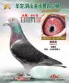 图片暂时未上传