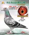 图片暂时未上传