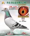 图片暂时未上传