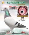 图片暂时未上传