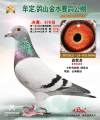 图片暂时未上传
