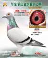 图片暂时未上传