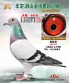图片暂时未上传
