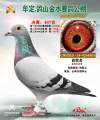 图片暂时未上传