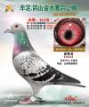 图片暂时未上传