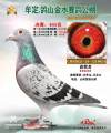 图片暂时未上传