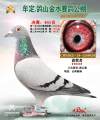 图片暂时未上传