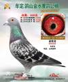 图片暂时未上传
