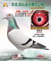 图片暂时未上传