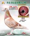 图片暂时未上传