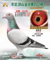 图片暂时未上传