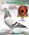 图片暂时未上传