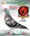 图片暂时未上传