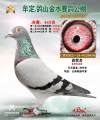 图片暂时未上传