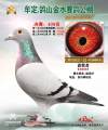 图片暂时未上传