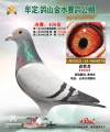 图片暂时未上传
