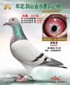 图片暂时未上传