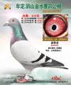 图片暂时未上传