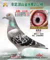 图片暂时未上传
