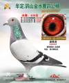 图片暂时未上传