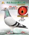 图片暂时未上传