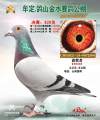 图片暂时未上传