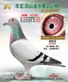 图片暂时未上传