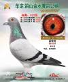 图片暂时未上传