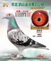 图片暂时未上传