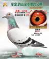 图片暂时未上传