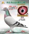 图片暂时未上传