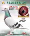 图片暂时未上传