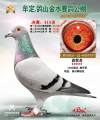 图片暂时未上传