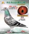 图片暂时未上传