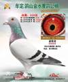 图片暂时未上传