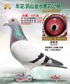 图片暂时未上传