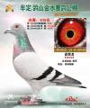 图片暂时未上传