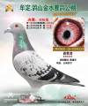 图片暂时未上传