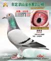 图片暂时未上传