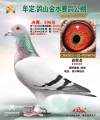 图片暂时未上传
