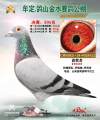 图片暂时未上传