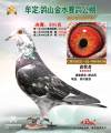 图片暂时未上传