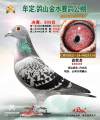 图片暂时未上传